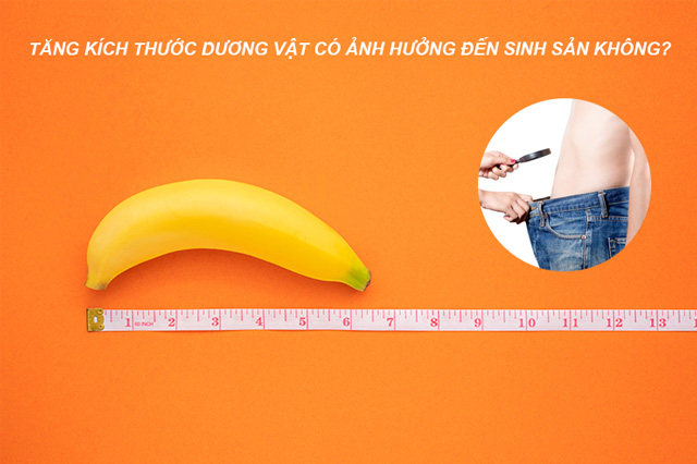 Tăng kích thước dương vật có ảnh hưởng đến sinh sản không