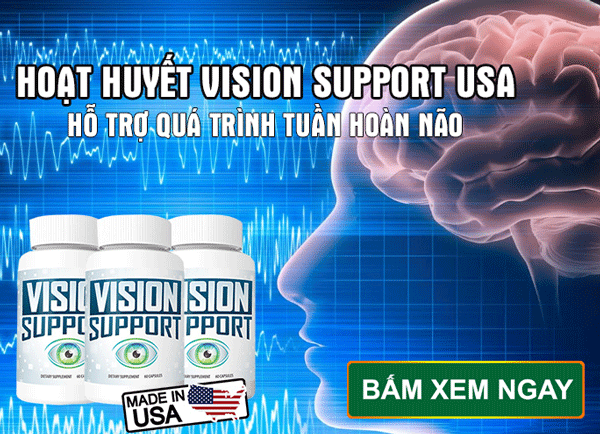 vision support usa
